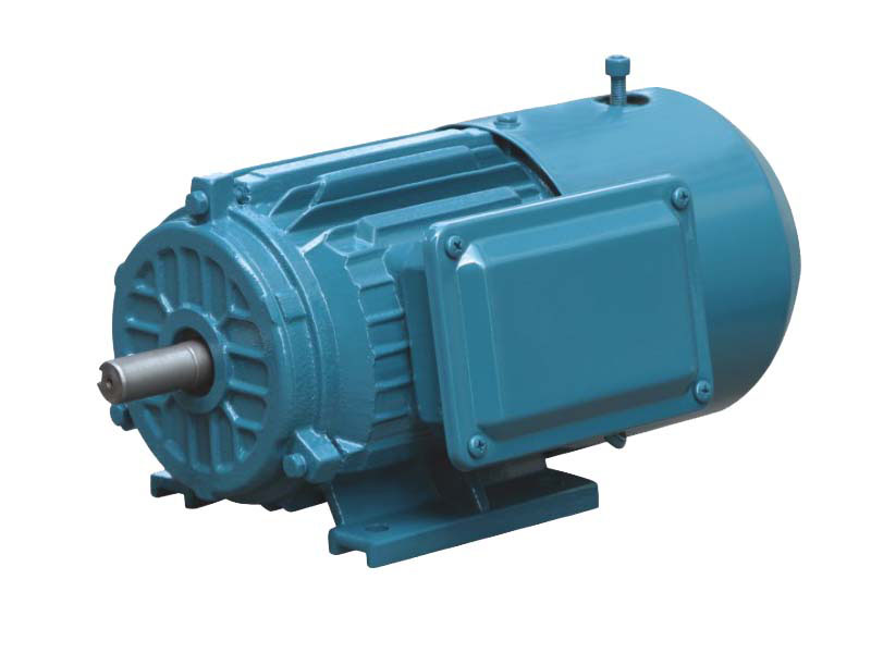Y2 Series Cast Iron AC Induction Motors (With Brakes)