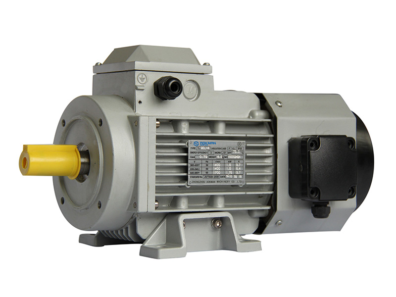 YVF Series Variable Frequency Motors
