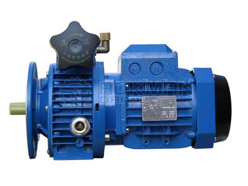 UDL Series Speed Variator with Electric Motor