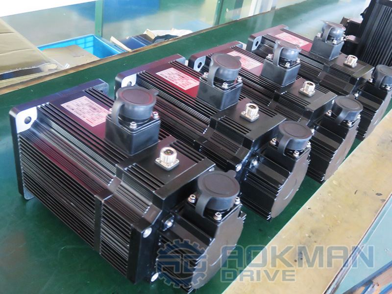 Permanent Magnet AC Servo Motors