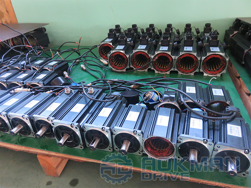 Permanent Magnet AC Servo Motors