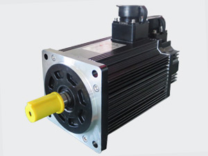 Permanent Magnet AC Servo Motors
