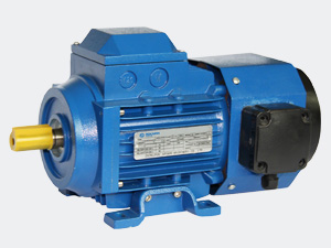 YVF Series Variable Frequency Motors